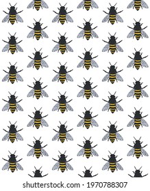 Vector seamless pattern of colored hand drawn doodle sketch bee isolated on white background