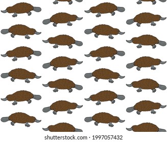 Vector seamless pattern of colored hand drawn doodle sketch Platypus duckbill isolated on white background