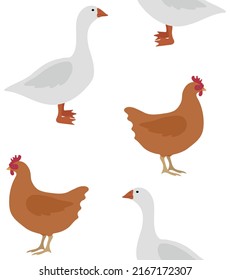 Vector seamless pattern of colored hand drawn flat chicken and goose isolated on white background