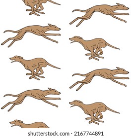 Vector seamless pattern of colored hand drawn sketch doodle running whippet dog isolated on white background