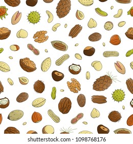 Vector seamless pattern of colored nuts. Repeat background with isolated bright hazel nut, walnut, pistachio, cashew, almond, coconut, pecan, pine nut, peanut. Food texture in cartoon or doodle style