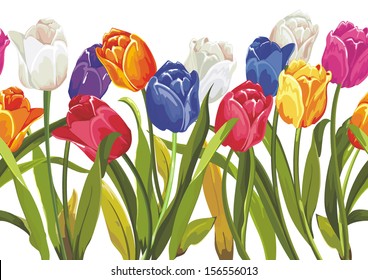 Vector seamless pattern with colored tulips