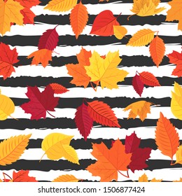 Vector seamless pattern of colorful autumn leaves on striped background simple minimalist style sale banner template design, Wallpaper, graphics, printing, Hobbies, invitations