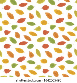 Vector seamless pattern with colorful autumn leaves isolated on white.