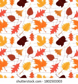 Vector seamless pattern with colorful autumn bright leaves isolated on white background. Design for web page background, autumn greeting cards, wallpaper, gift paper, pattern fills etc.