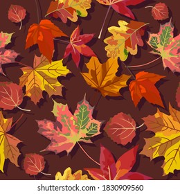 Vector seamless pattern with colorful autumn leafs