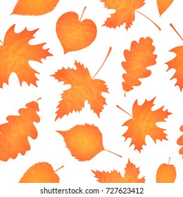 Vector seamless pattern with colorful autumn leaves. Autumn background