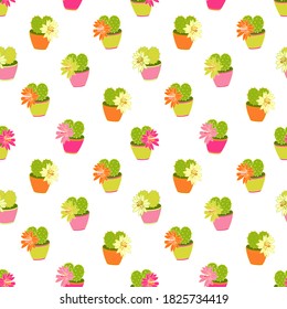 Vector seamless pattern with colorful blooming cactuses in pots. Flat style with outline. Pink, green, orange colors. Great for covers, wrapping papers, fabrics. Beautiful succulent plant in bloom.