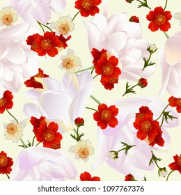 Vector seamless pattern with colorful flowers on white. Modern floral pattern for textile, wallpaper, print, gift wrap, greeting or wedding background. Spring or summer design.