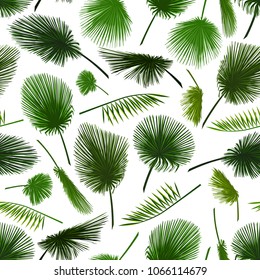Vector seamless pattern of colorful palm leaf on white background. Tropical palm leaves background