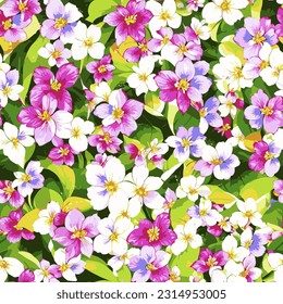 vector seamless pattern colorful summer flowers background