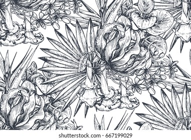 Vector seamless pattern with compositions of hand drawn tropical flowers, palm leaves, jungle plants, paradise bouquet. Beautiful black and white sketched floral endless background