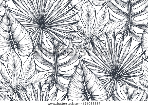 手描きの熱帯の花 ヤシの葉 ジャングルの植物 パラダイスのブーケの組み合わせを使ったベクターシームレスな模様 白黒のスケッチ花柄の美しい無限の背景 のベクター画像素材 ロイヤリティフリー
