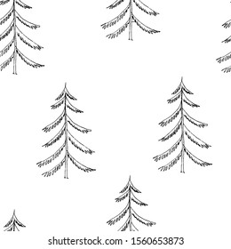 Vector seamless pattern of conifers (pine, Christmas tree, spruce). The contours of tall conifers in the forest on a white background (on a background of snow). Seamless pattern for textile and print.