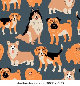 Vector seamless pattern with Corgi, Collie, Pug, Beagle and Pomeranian on dark blue background. Cute dogs illustration for fabric, textile, background, wallpaper