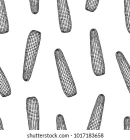 Vector seamless pattern with corn on the cob. Retro engraved illustration. Botanical hand drawn background.