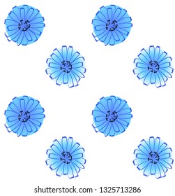 Vector seamless pattern of cornflowers on a white background.