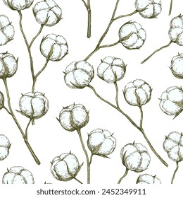 Vector seamless pattern with cotton branches. Hand-drawn ink illustration.