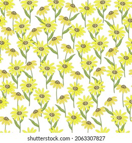 Vector seamless pattern. Creative floral print with chamomile flowers, leaves in a hand-drawn style. Perfect spring. summer template for fashion design, textiles