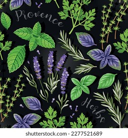 Vector seamless pattern with culinary spicy herbs