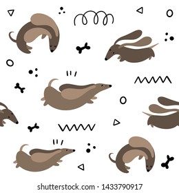 Vector seamless pattern with cute cartoon dachshunds. Flat, Doodle, character
