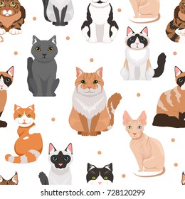 Vector seamless pattern of cute cats. Colored pictures of pets. Cat pet animal pattern background illustration