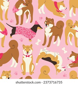 Patrón vectorial sin fisuras con perros lindos, Corgi, Shiba inu, Dachshund, Akita.