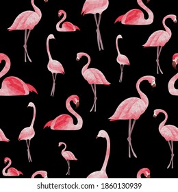 Vector seamless pattern Cute flamingos on black background. Textile, cover, decoration