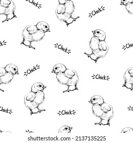 Vector seamless pattern of cute little chicken. Hand drawn graphic illustration of little bird, chicken isolated on white background. Ink drawing. Black and white engraved illustration