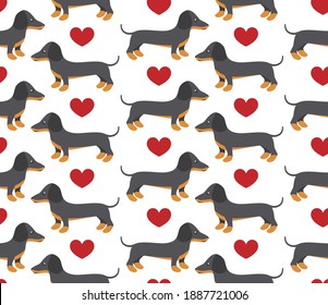 Vector seamless pattern in dachshund for print and web design on white background