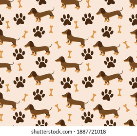 Vector seamless pattern in dachshund for print and web design on white background