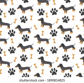 Vector seamless pattern in dachshund for print and web design on white background