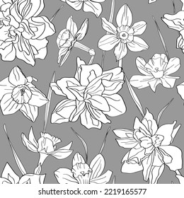 Vector seamless pattern of daffodil flowers. Young leaves and inflorescences are drawn by hand.