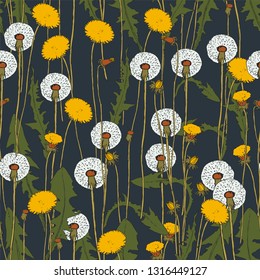 Vector seamless pattern - Dandelion botanical isolated illustration. Plant, flowers, leaves, hand drawn set