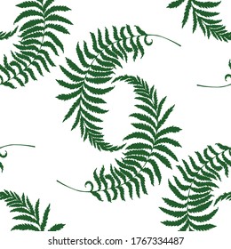 Vector seamless pattern : dark green curved fern branches with leaves . Hand drawn silhouettes . Botanical , natural design for wrapping paper, textile. wallpaper, decor.