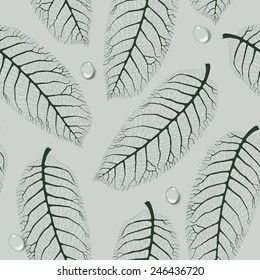 Vector seamless pattern with  dark green  lace walnut leaves on light grey background with water drops