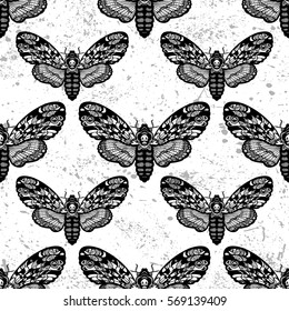 Vector seamless pattern with deaths head hawk moth butterfly.Hand-draw illustration. Design tattoo art. 