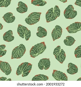 Vector seamless pattern design with begonia leaves for fabric, scrapbooking and wallpaper projects. Designed by Daania at deeyana83*yahoo.com.