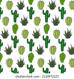Vector seamless pattern with different cacti. Bright repeating texture with green cacti. Natural hand-drawing background with desert plants.