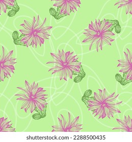 Vector seamless pattern with different cactus. Bright repeated texture with green cacti. Natural hand drawing background with desert plants for fabric, paper and other printing and web projects.