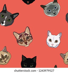 Vector seamless pattern with different cats on coral color background