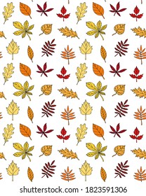 Vector seamless pattern of different color hand drawn doodle sketch leaves isolated on white background