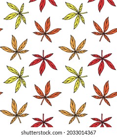 Vector seamless pattern of different color hand drawn doodle sketch autumn leaves isolated on white background