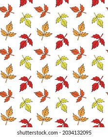 Vector seamless pattern of different color hand drawn doodle sketch autumn leaves isolated on white background