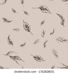 Vector seamless pattern with different hand drawn brown leaves on a pastel beige background. Illustration with imitation of ink or pen. Artwork for packaging design of medicines, cosmetics, textiles. 
