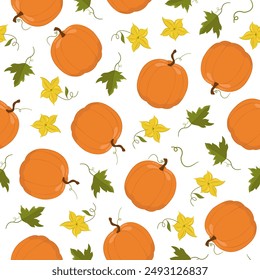 Vector seamless pattern of different pumpkins with leaves and flowers. Color image of vegetables on a white background.