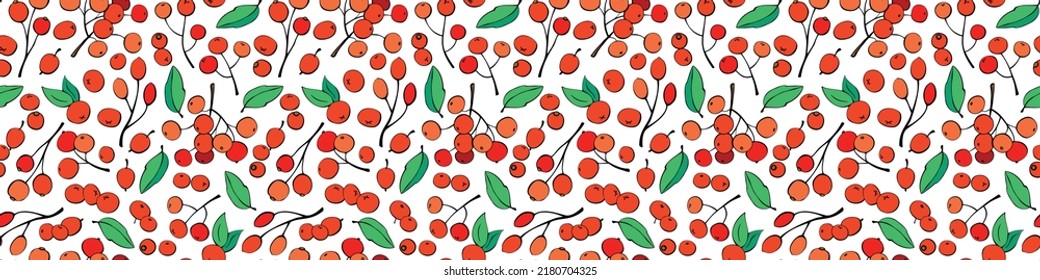 Vector seamless pattern of different small red berries, single and twigs. Rowan fetus, viburnum, blueberry, lingonberry, cranberry. Botanical texture isolated on white, hand drawn in doodle flat style