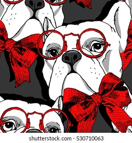 Vector seamless pattern with dog in a red bow and glasses.