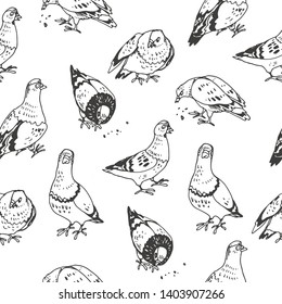 Vector seamless pattern with doves isolated on white. Hand drawn texture with street birds. Sketch of funny cartoon animal characters.