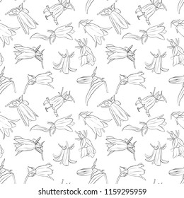 vector seamless pattern with drawing bell flowers, floral ornament, hand drawn botanical illustration